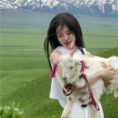 红翼